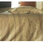 Parure de Draps 4 Pieces Sous Les Etoiles Sépia (DH140_DP240_2TO)