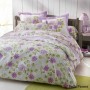 Housse de Couette Bella Parme 220x240 + 2 taies 65x65