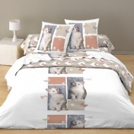 HC Chat 220x240 + 2 taies 65x65