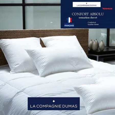 Couette Blanche Duvet - Mi-saison - 2 personnes - 220x240 - 13034