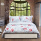 Parure Housse de Couette Dolce Vita REF7405 BLUSH