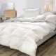Couette Duvet Oie