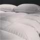 Couette Duvet Oie