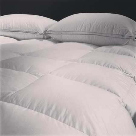 Couette Duvet Oie