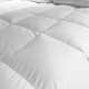 Couette Duvet Oie