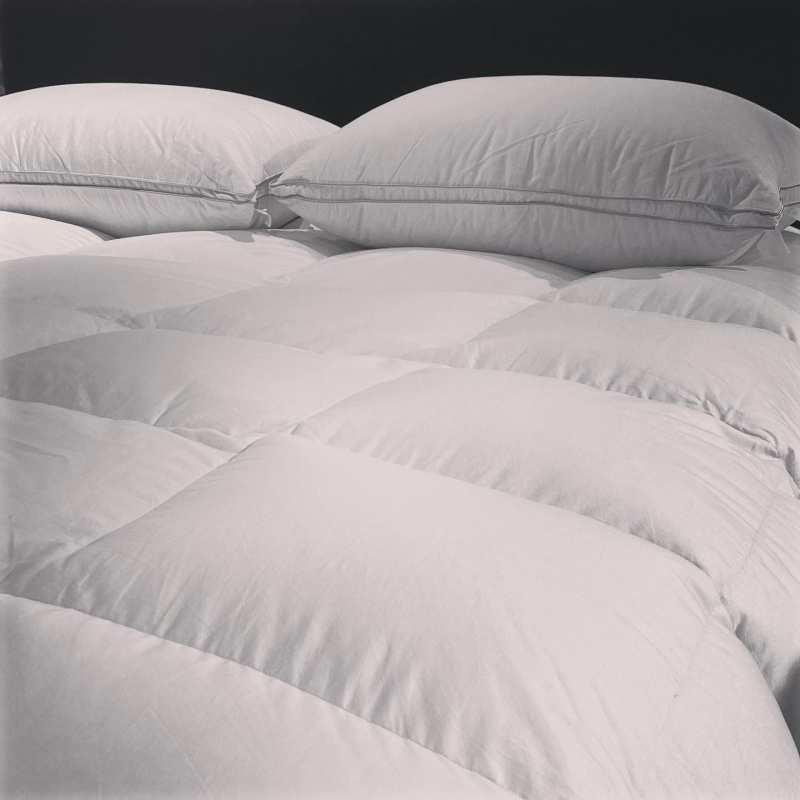 Couette de lit en forme d'oie blanche 95%, taille Super King