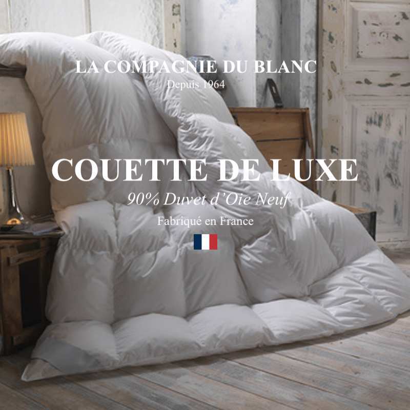Couette luxe plume 220x240 90% duvet canard chaude 300 gr/m2 240x220
