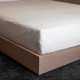 Rénove Matelas Anti Punaises de Lit Anti Acariens - GREENTOUCH®