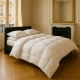 Couette duvet oie