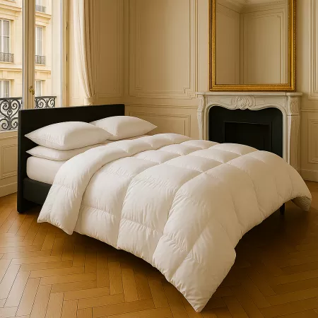 Couette duvet oie