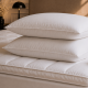 Oreiller en Duvet