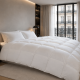 Couette Mondor Hiver