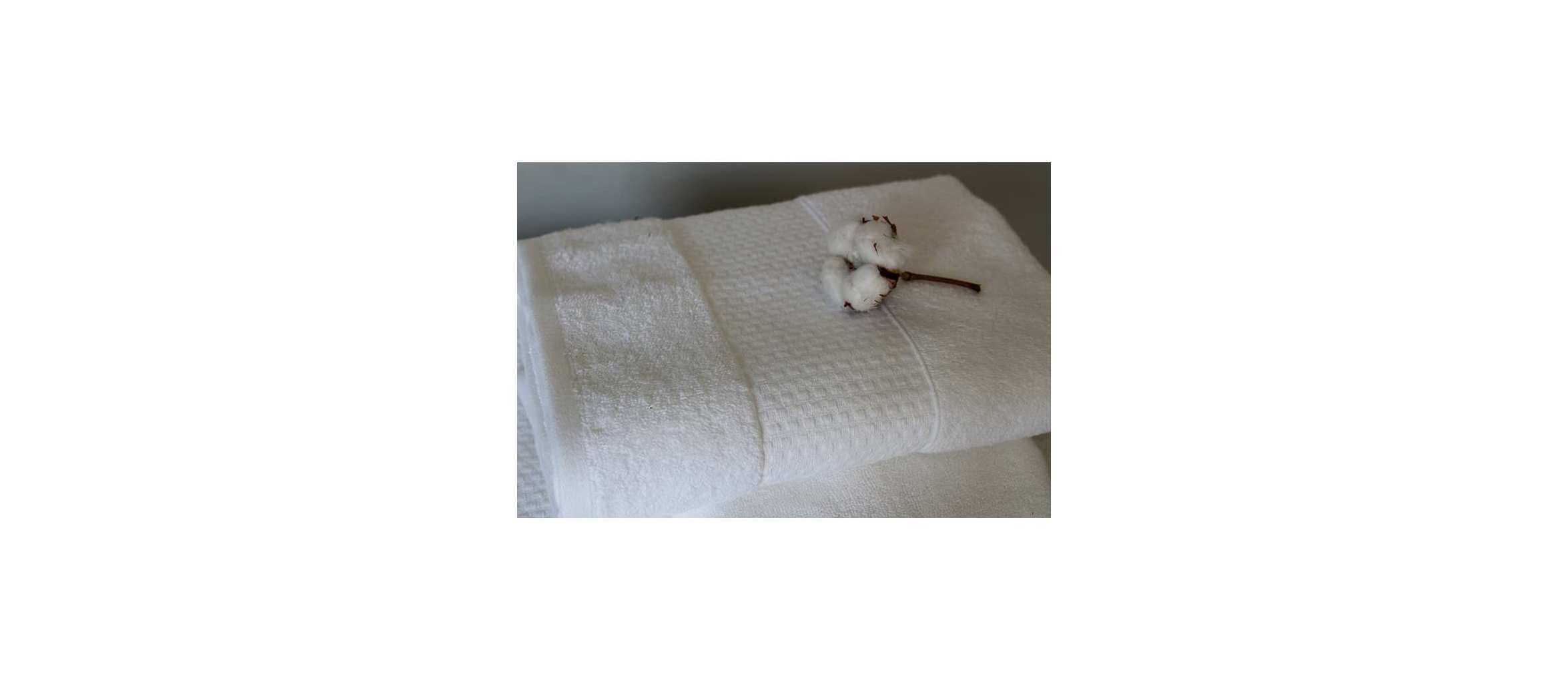 Linge de Bain - Collection Hôtel 100% Coton 500 g/m² Linge de Bain - Collection Hôtel 100% Coton 500 g/m²